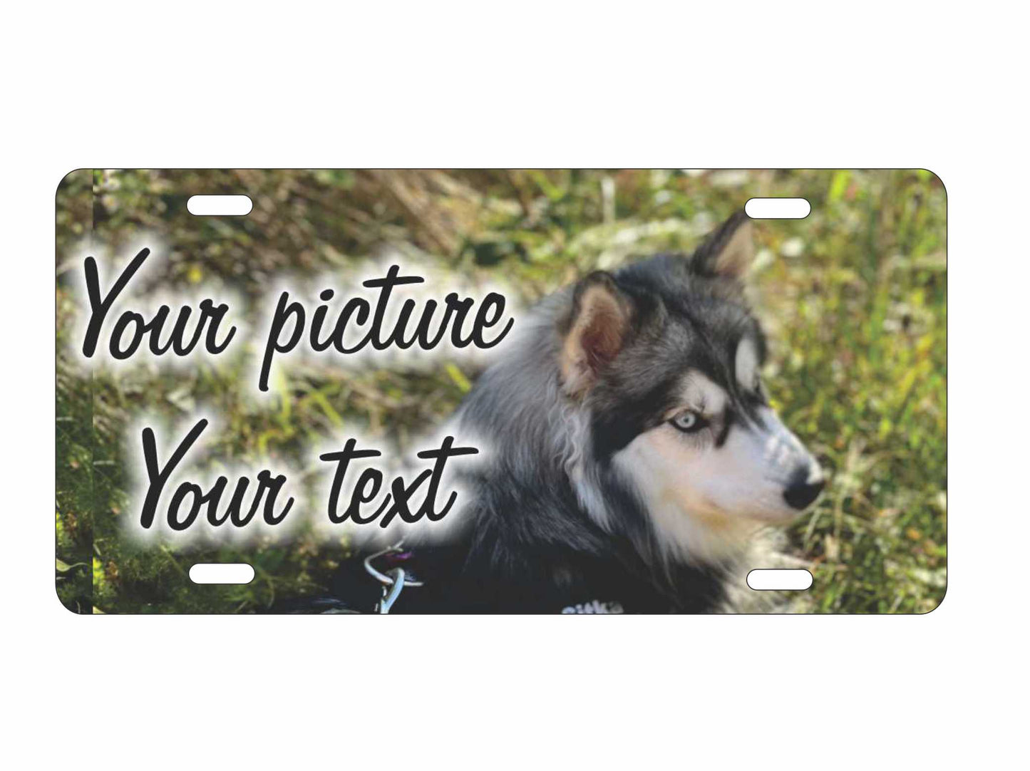 Upload an image of your pet customize Personalized Novelty Front License Plate Decorative Vanity aluminum sign Car Tag
