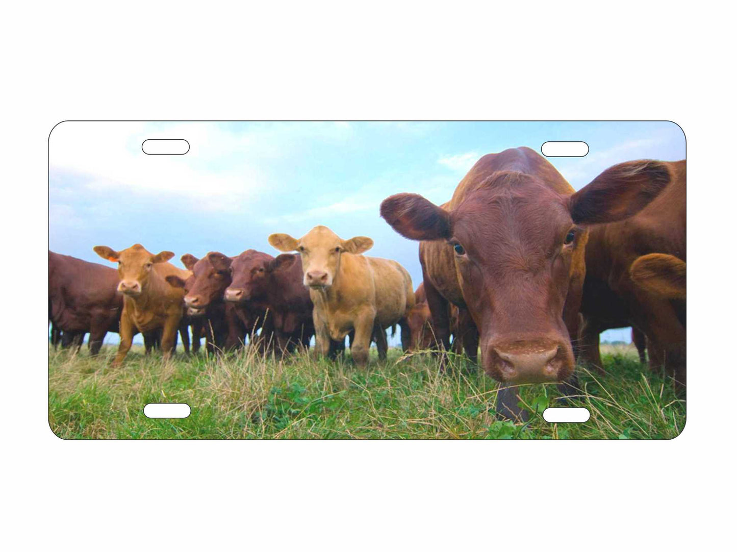 Beef Cattle Farm personalized novelty front license plate Decorative vanity Farm life custom aluminum car tag
