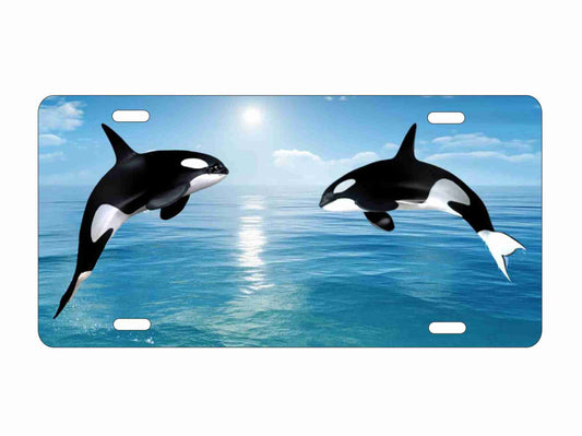 Orca killer whale personalized novelty front license plate Decorative custom vanity car tag