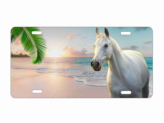 White horse on tropical beach Personalized Novelty Front License Plate custom Decorative vanity car tag