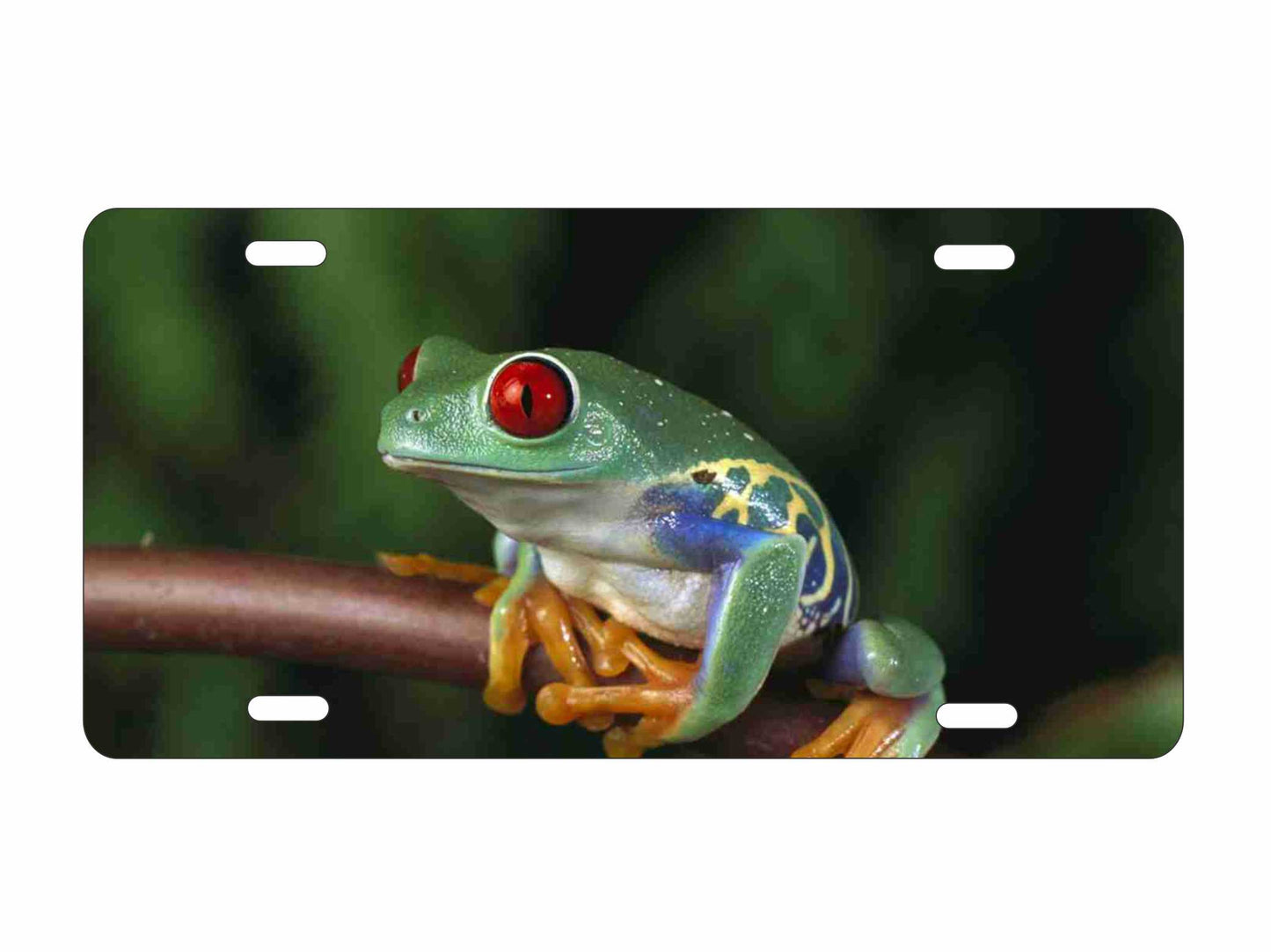 frog personalized novelty front license plate decorative custom vanity car tag