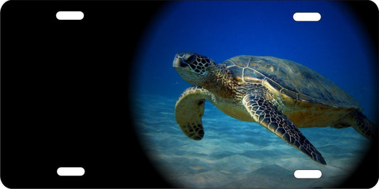 sea turtle personalized novelty front license plate custom car tag