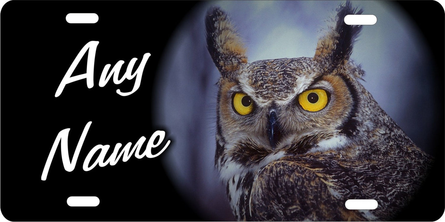 Owl personalized novelty Front license plate Decorative custom aluminum sign car tag