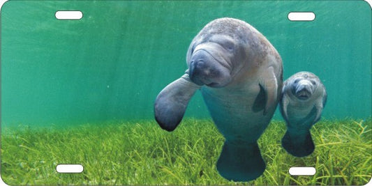Manatee personalized novelty license plate custom vanity Decorative car tag
