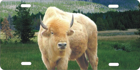 Bison Native American White Buffalo personalized novelty front license plate Decorative custom car tag