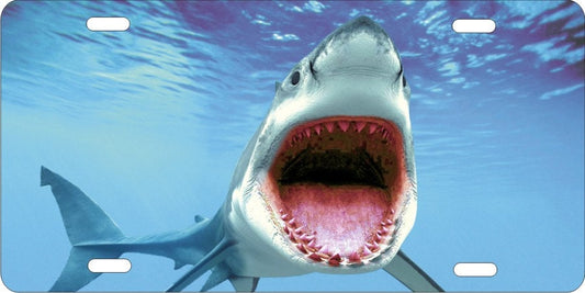 Shark attack personalized novelty front license plate decorative vanity custom car tag