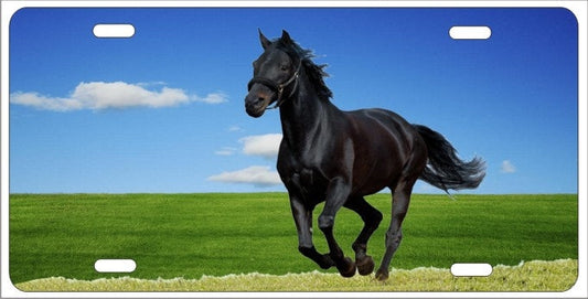 Black Horse Mustang Personalized Novelty Front License Plate custom Decorative vanity car tag