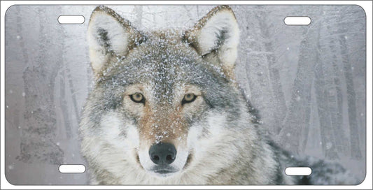 wolf predator in the snow novelty front license plate Decorative vanity car tag