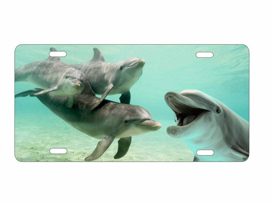 Dolphins Underwater personalized novelty front license plate Decorative Vanity custom car tag