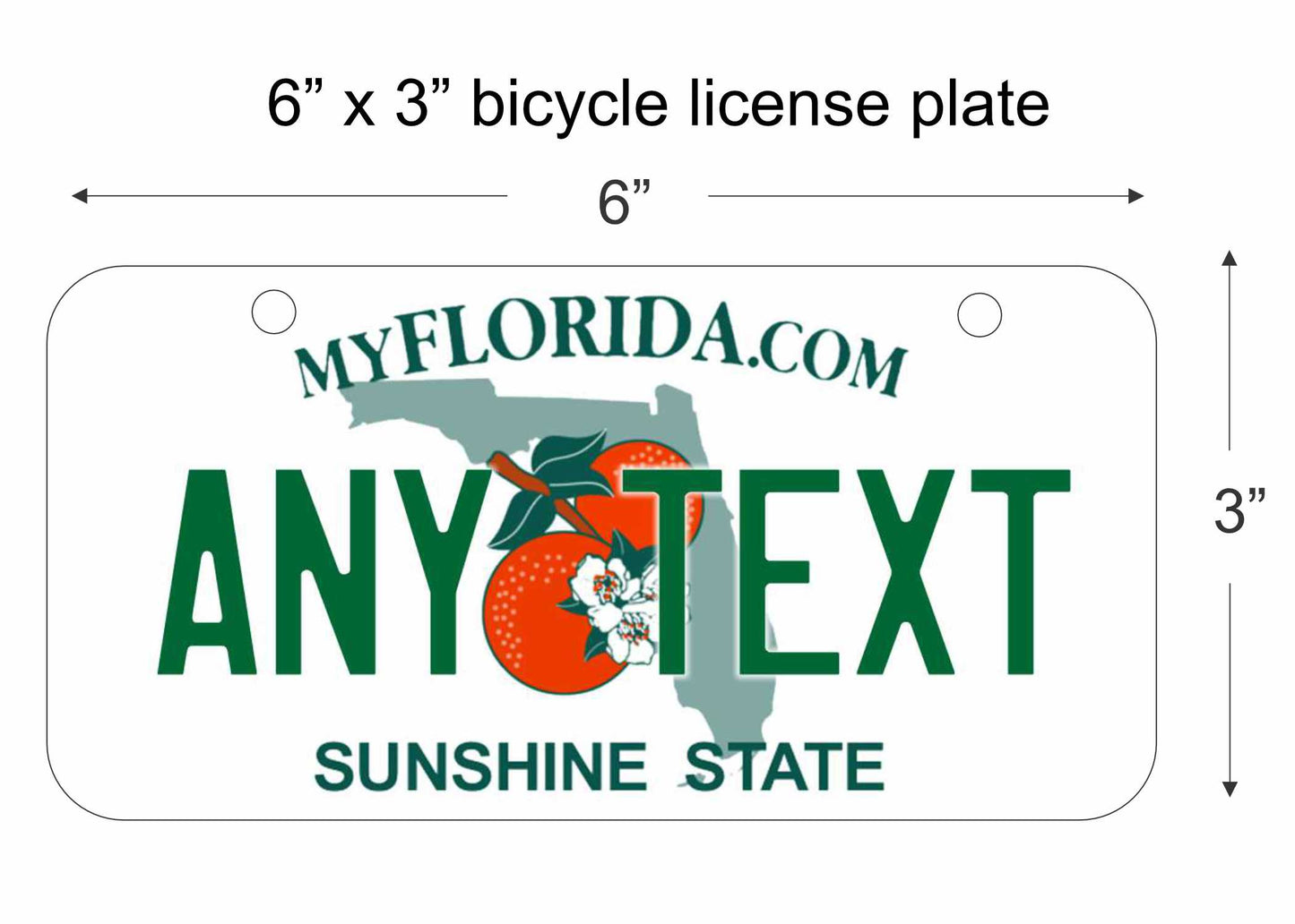 Florida sunshine state replica bicycle license plate personalized with any text custom made decorative aluminum sign