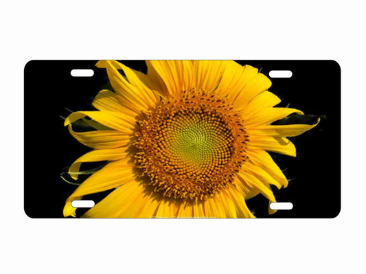 Personalized Customizable Sunflower in the wind license Plate, Black Background, Decorative Vanity Vehicle Tag 12 x 6 inches