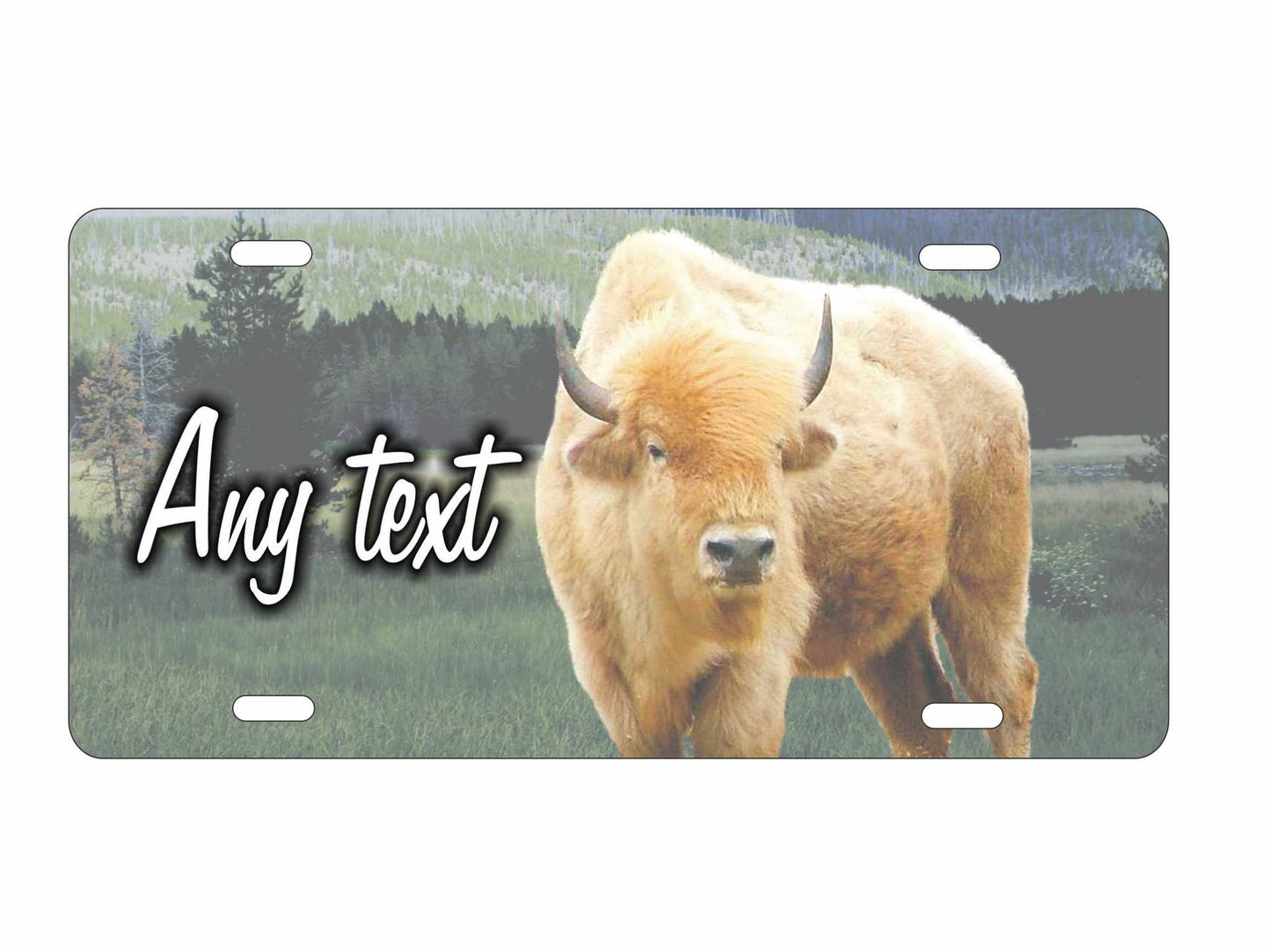 Bison Native American White Buffalo personalized novelty front license plate Decorative custom car tag