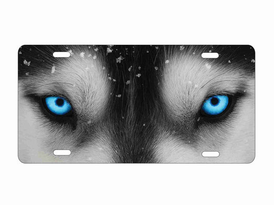 wolf eyes siberian husky novelty front license plate Decorative vanity aluminum car tag
