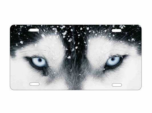wolf eyes novelty front license plate Decorative vanity aluminum car tag