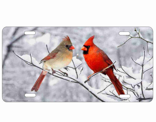 Snowbirds Cardinal Couple personalized novelty front license plate custom Decorative vanity aluminum car tag