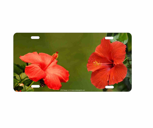 Tropical Hibiscus flower Personalized Novelty Front License Plate custom Decorative aluminum vanity car tag
