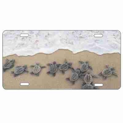 sea turtles hatchlings personalized novelty front license plate custom vanity Decorative aluminum car tag