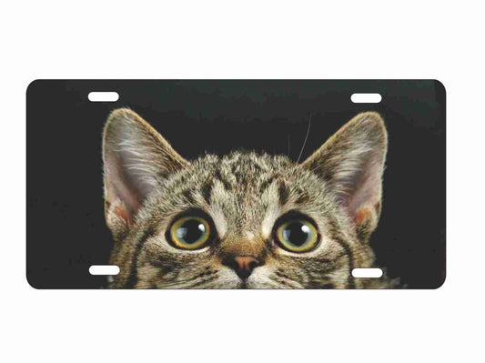 Cat peeking novelty front license plate cats eyes decorative custom vanity car tag