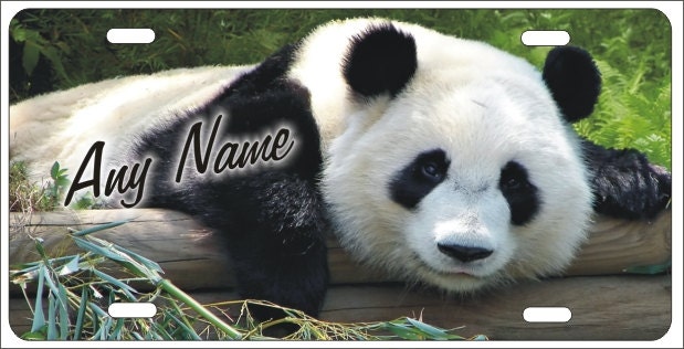 Panda Bear personalized novelty front license plate Decorative custom car tag
