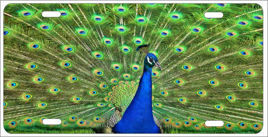 Peacock personalized novelty Front license plate Decorative custom aluminum vanity sign car tag