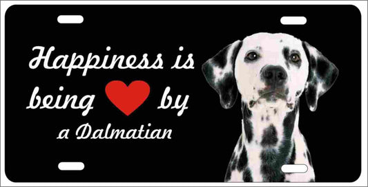 Dalmatian Novelty Front license plate Decorative Vanity custom car tag